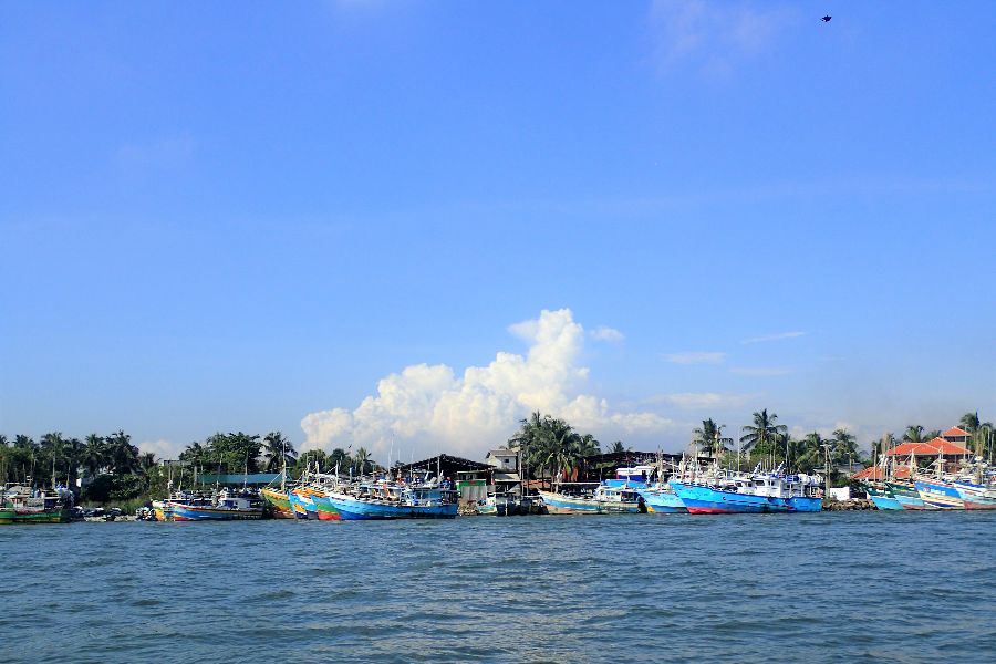 80. photo gallery.JPG